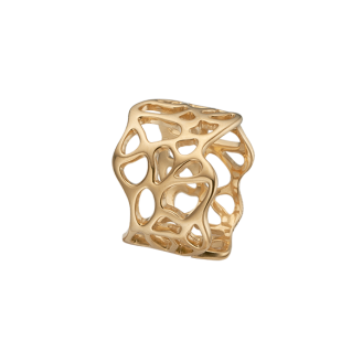 CDL ring Nature of Light forgyldt - Ringe