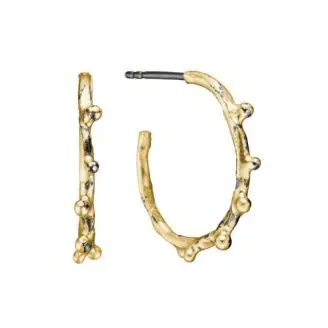 Birdie Urban Harlem Buds Golden creol - Guld